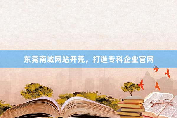 东莞南城网站开荒，打造专科企业官网